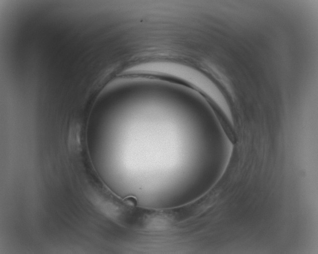 X0000083070115200702091540