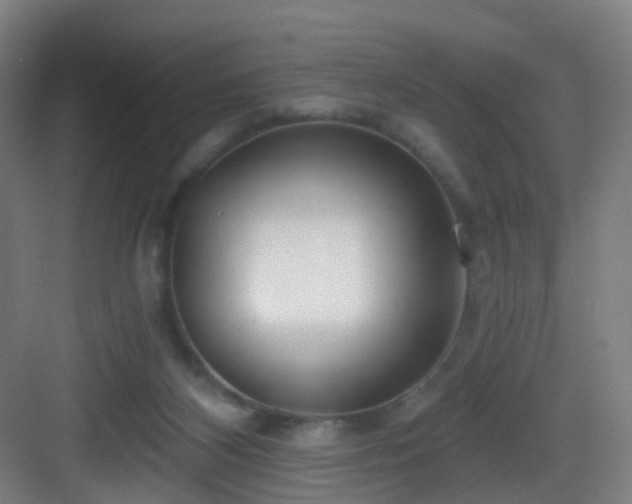 X0000083070116200702091540