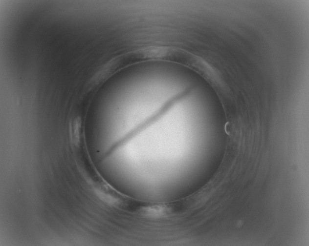 X0000083070118200702091540
