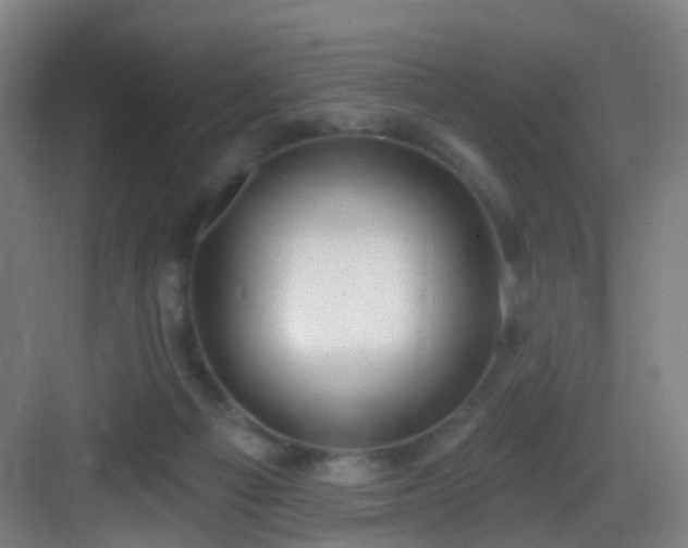 X0000083070121200702091540