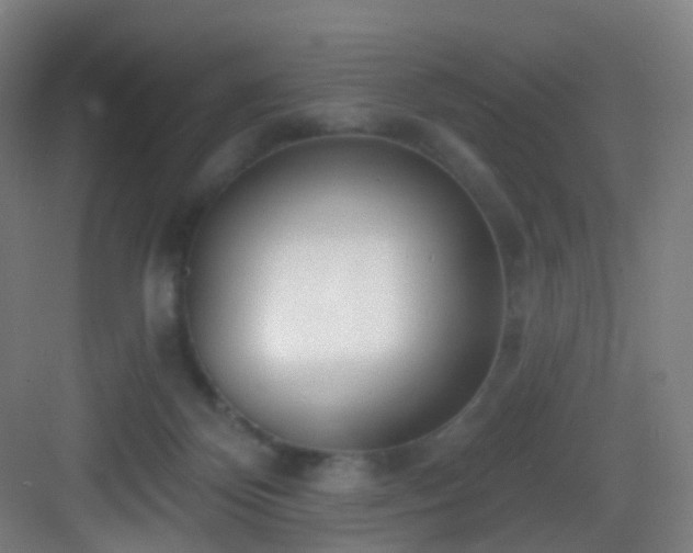 X0000083070124200702091540