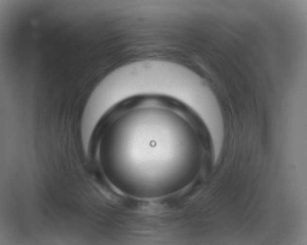 X0000083070125200702091540