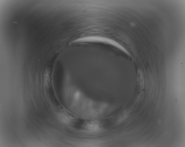 X0000083070127200702091540