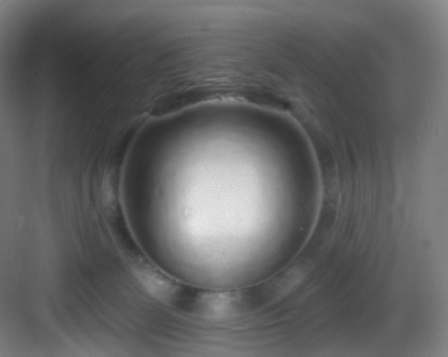 X0000083070131200702091540