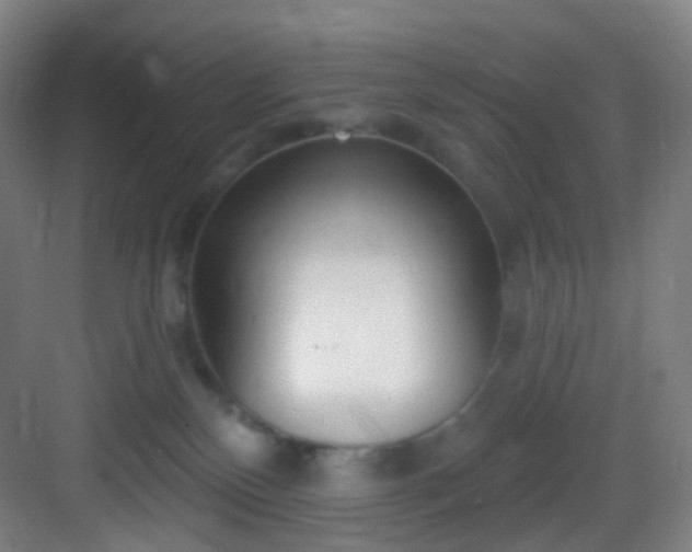 X0000083070136200702091540