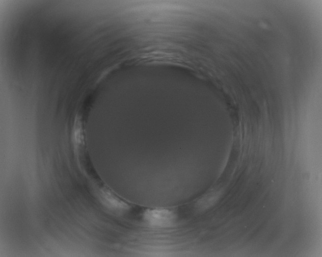 X0000083070137200702091540