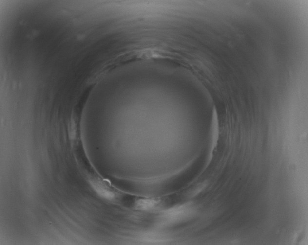 X0000083070139200702091540