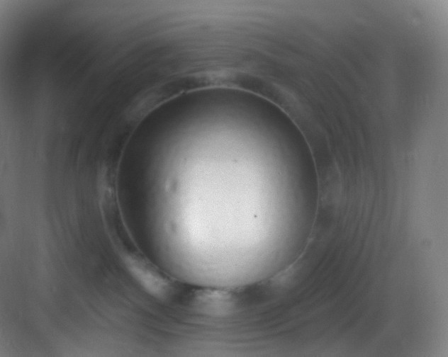 X0000083070140200702091540