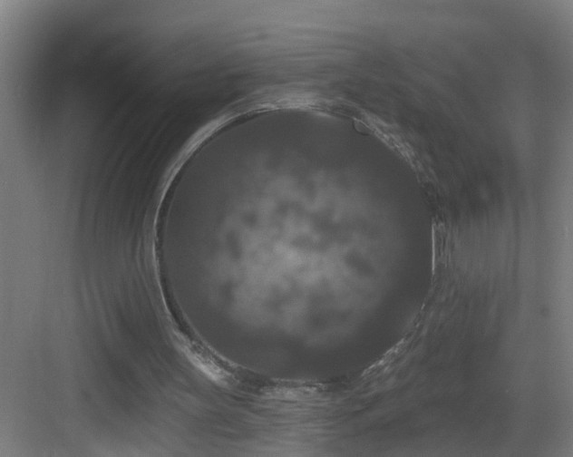 X0000083070147200702091539