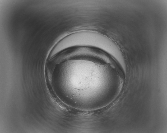 X0000083070148200702091539