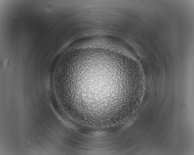 X0000083070158200702091539
