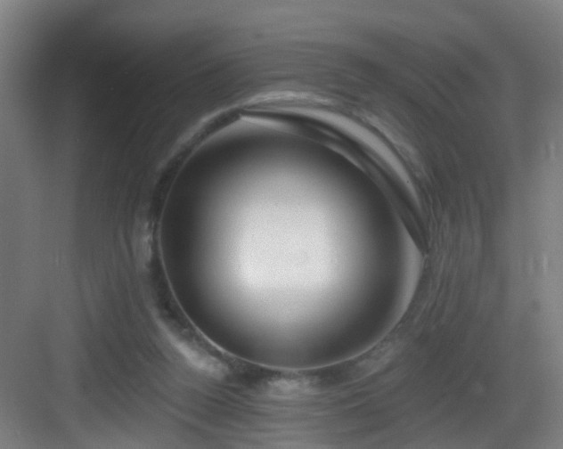 X0000083070160200702091539