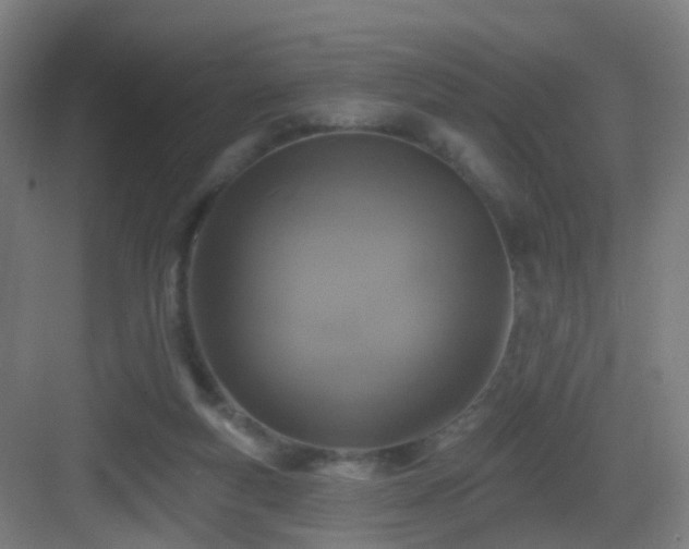 X0000083070163200702091539