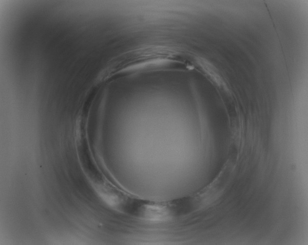 X0000083070167200702091539