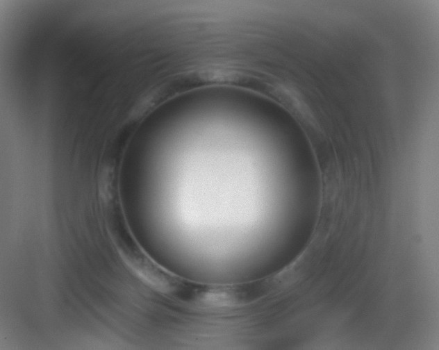 X0000083070171200702091539