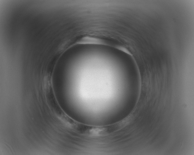 X0000083070172200702091539