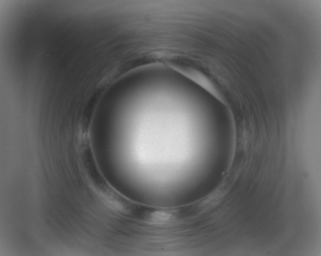 X0000083070176200702091540