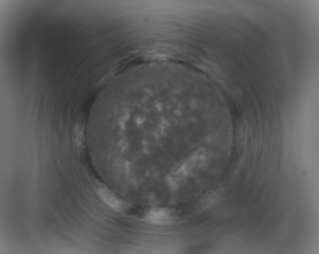 X0000083070177200702091540