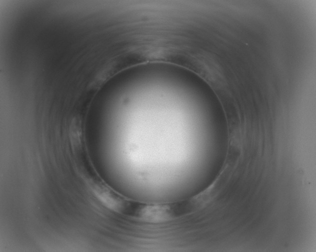X0000083070179200702091540