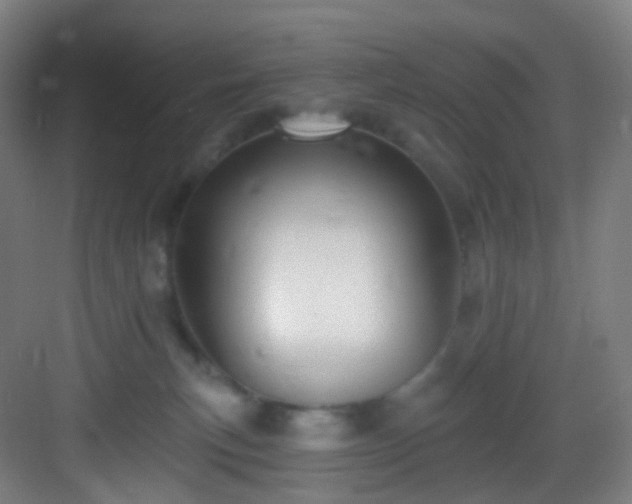 X0000083070183200702091540