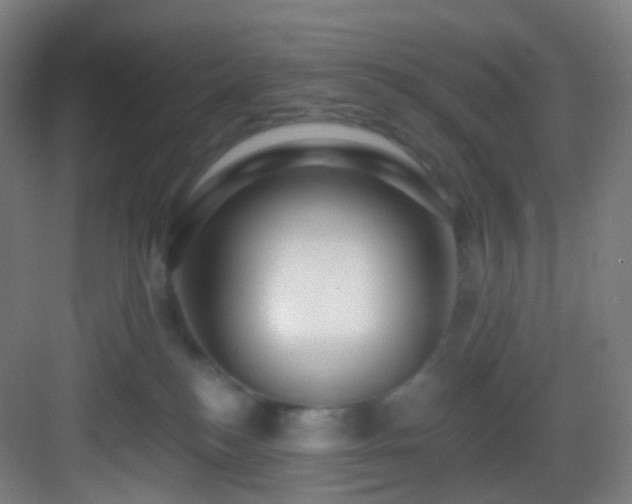 X0000083070184200702091540
