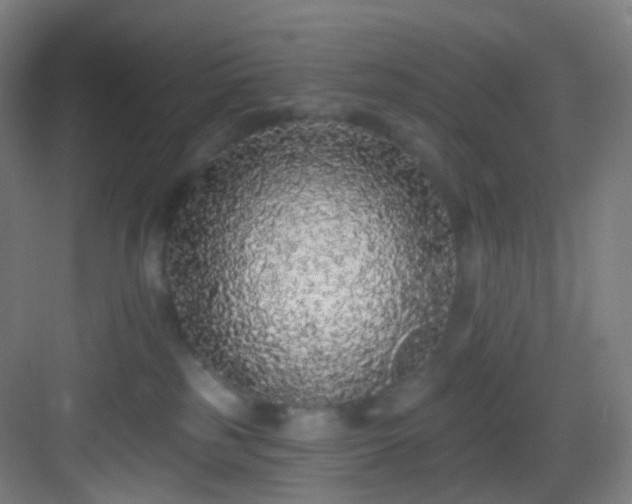 X0000083070185200702091540