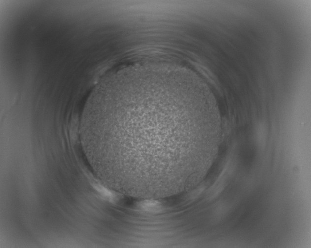X0000083070189200702091540