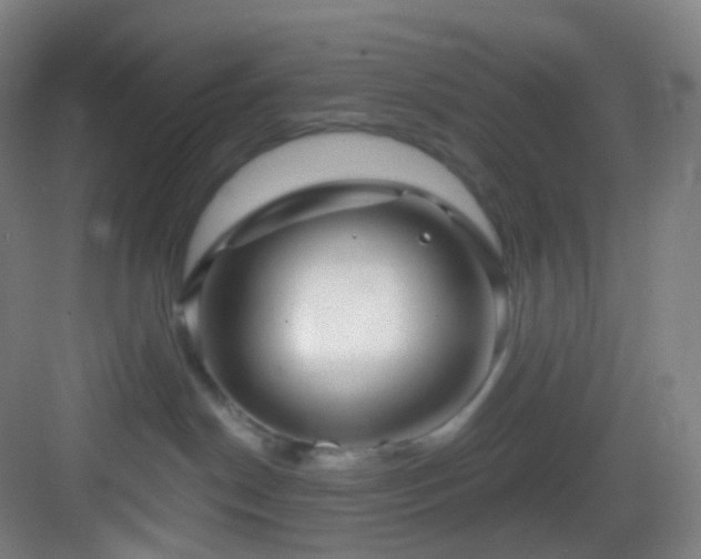 X0000083070190200702091540