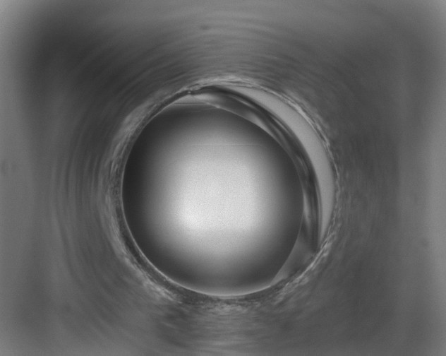 X0000083070193200702091539