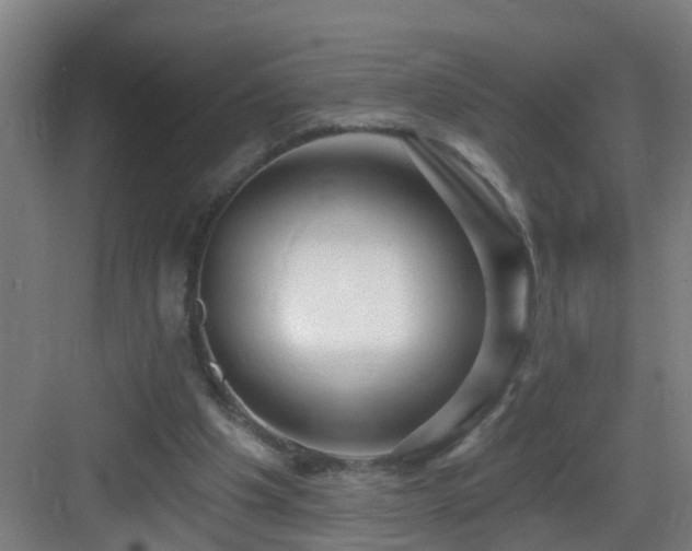 X0000083070201200702091539