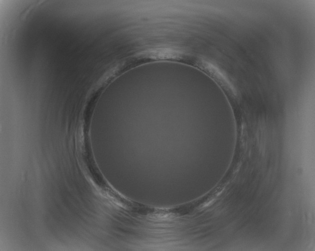X0000083070202200702091539
