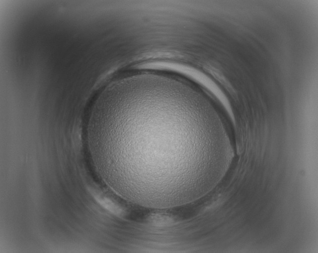 X0000083070207200702091539