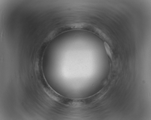 X0000083070209200702091539