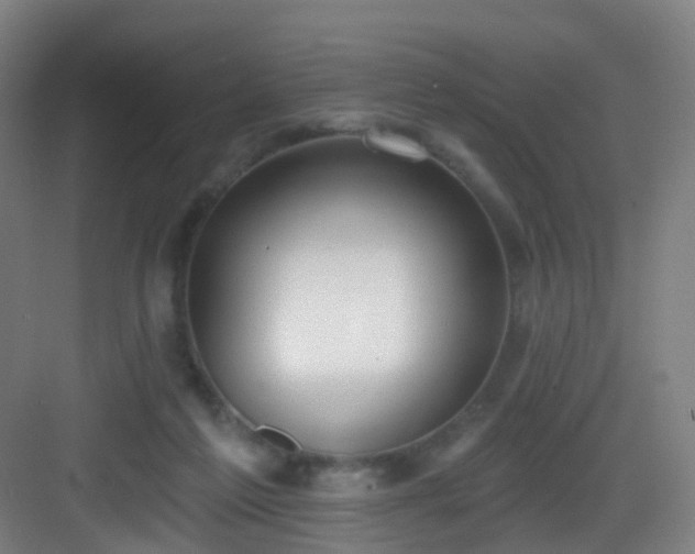 X0000083070213200702091539