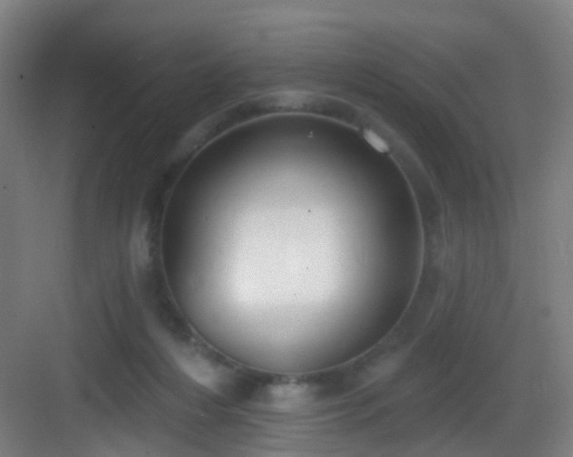 X0000083070216200702091539