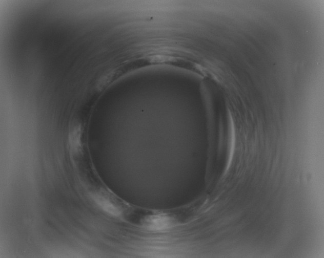 X0000083070219200702091539