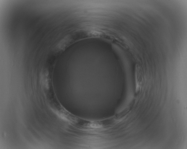 X0000083070223200702091539