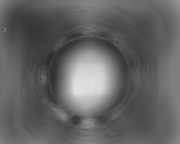 X0000083070226200702091538