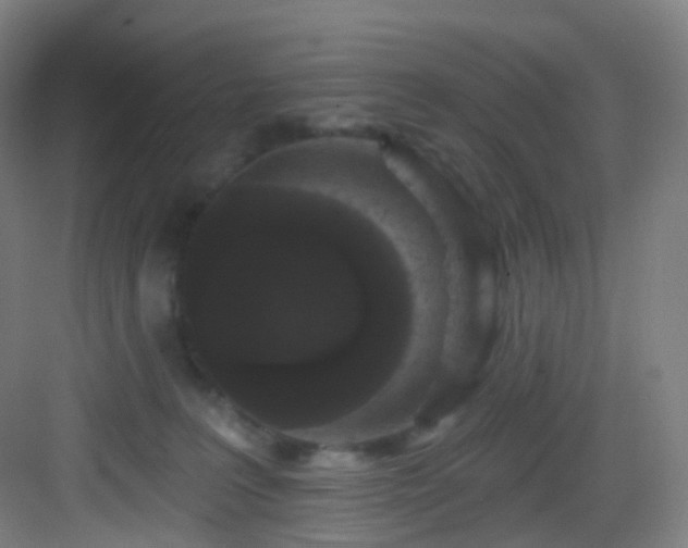 X0000083070227200702091538