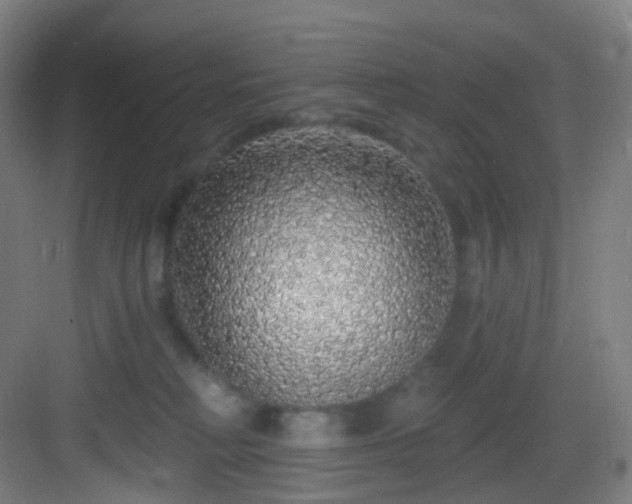 X0000083070230200702091538