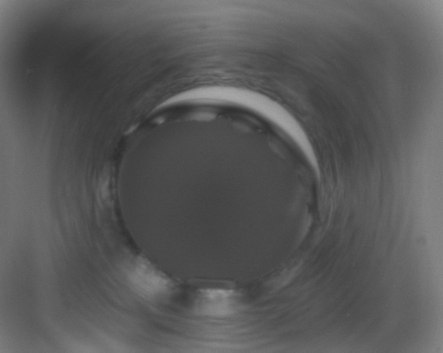 X0000083070233200702091538