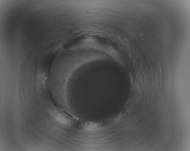 X0000083070235200702091538