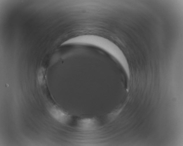 X0000083070237200702091538