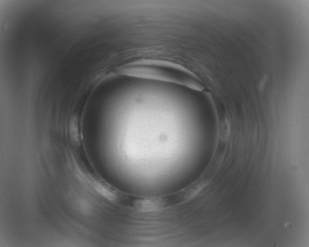 X0000083070238200702091538