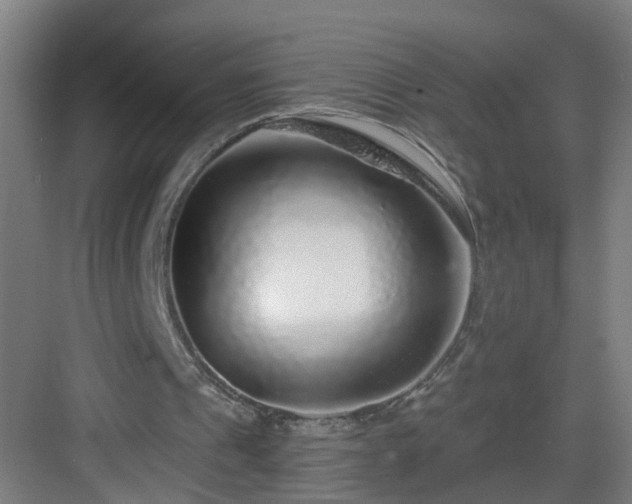 X0000083070241200702091537