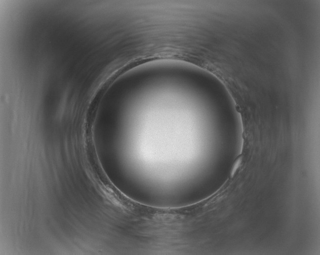 X0000083070242200702091537