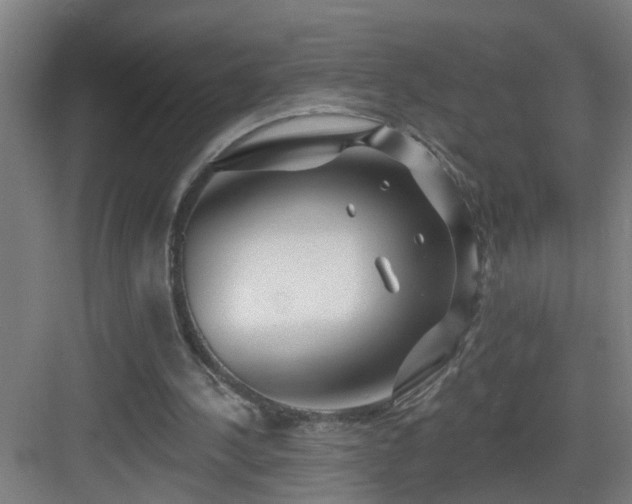 X0000083070244200702091537