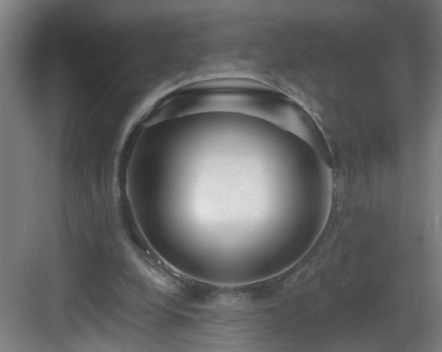X0000083070248200702091538