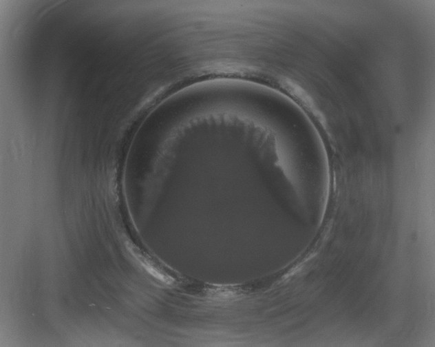 X0000083070249200702091538
