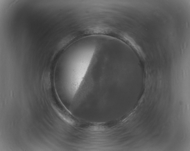 X0000083070250200702091538